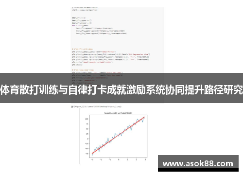 体育散打训练与自律打卡成就激励系统协同提升路径研究